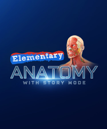 Elementary Anatomy: With Story Mode