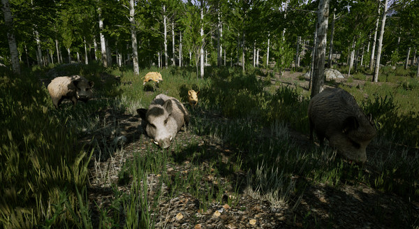 Скриншот из Territory