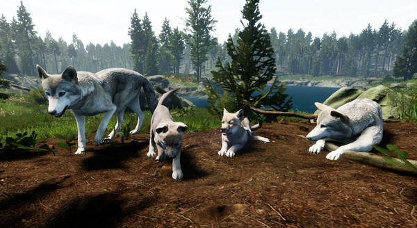 Territory game for Linux 1