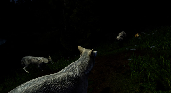 Territoryfor windows and Linux 1