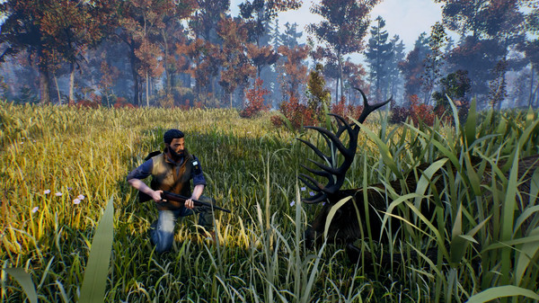 Open Countryfor windows and Linux 1