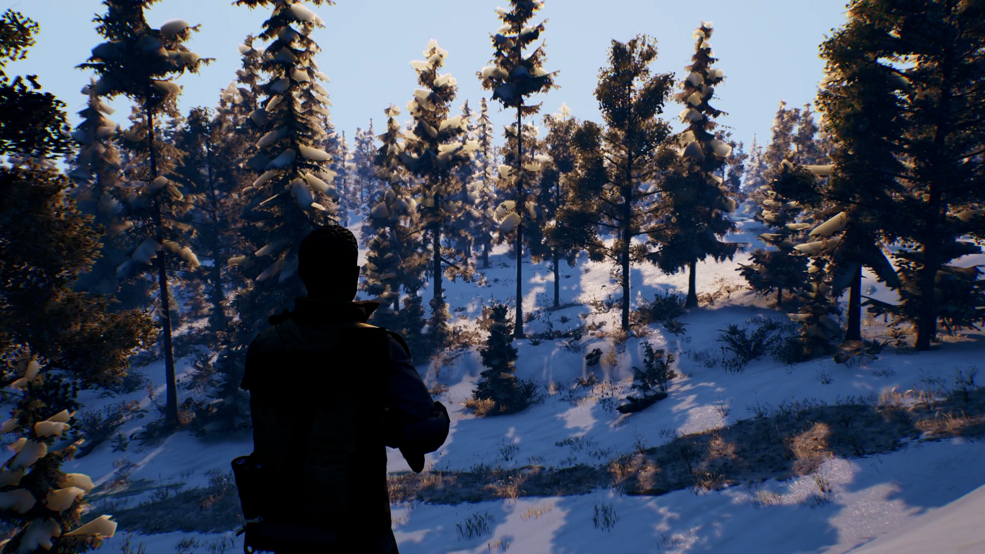 Winter survival simulator стим фото 62