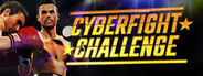 Cyber Fight Challenge