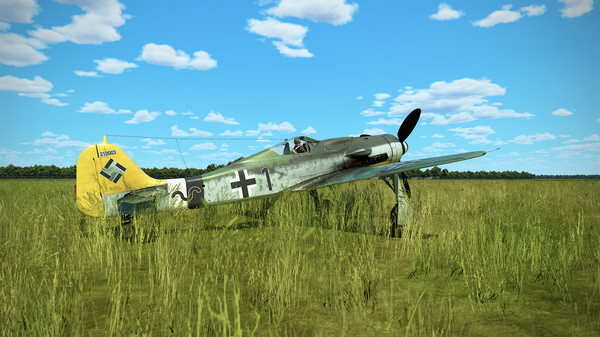 IL-2 Sturmovik: Fw 190 D-9 Collector Plane