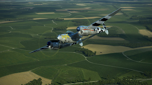 скриншот IL-2 Sturmovik: P-38J-25 Collector Plane 0
