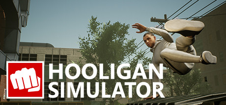 Image for Hooligan Simulator