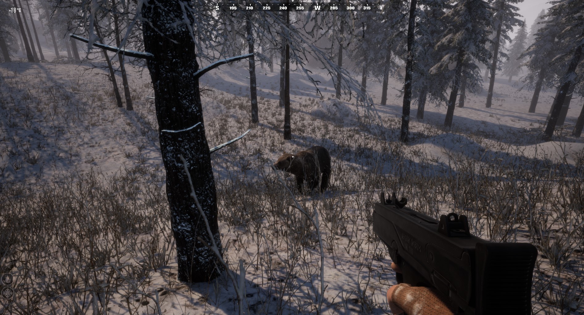 Survival Classic #22