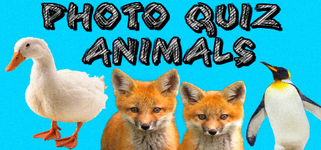 Photo Quiz - Animals Cover Image
