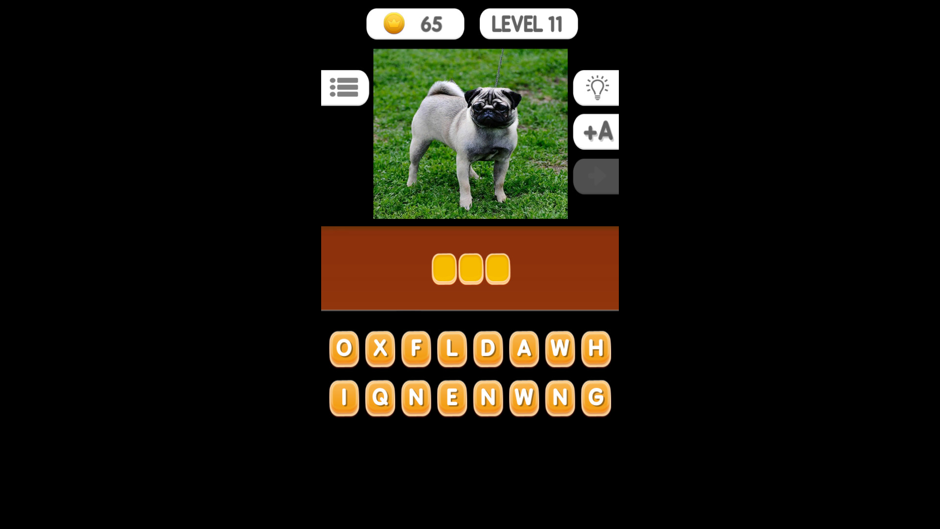 Photo Quiz - Animals #5