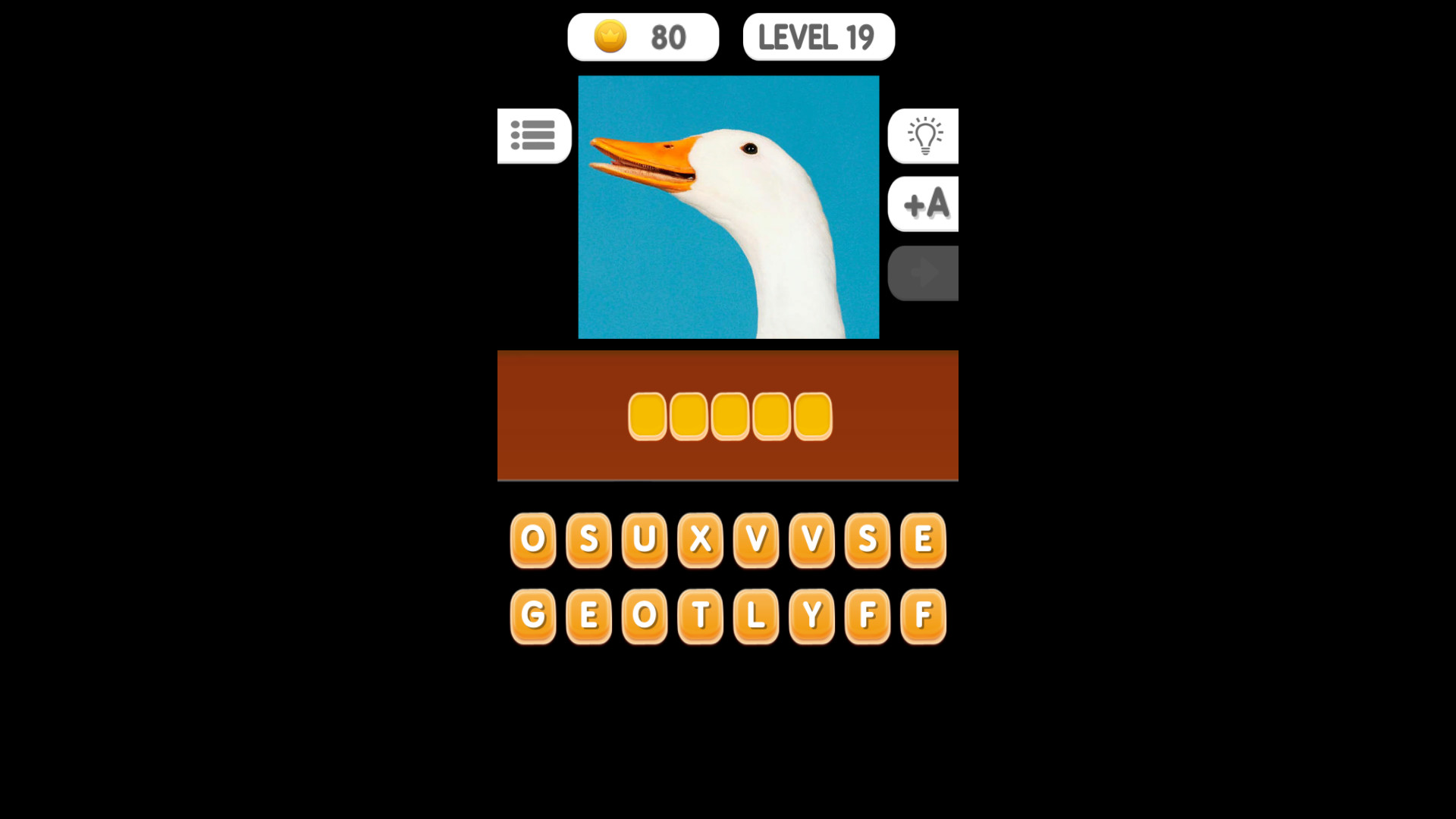 Photo Quiz - Animals #13