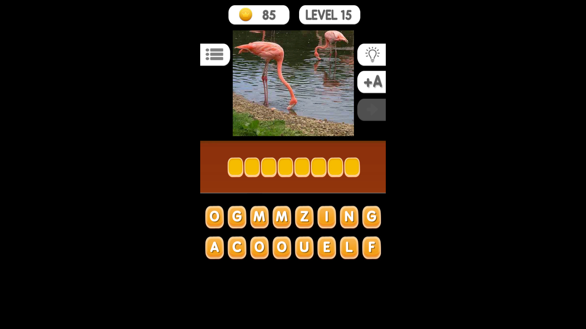 Photo Quiz - Animals #9