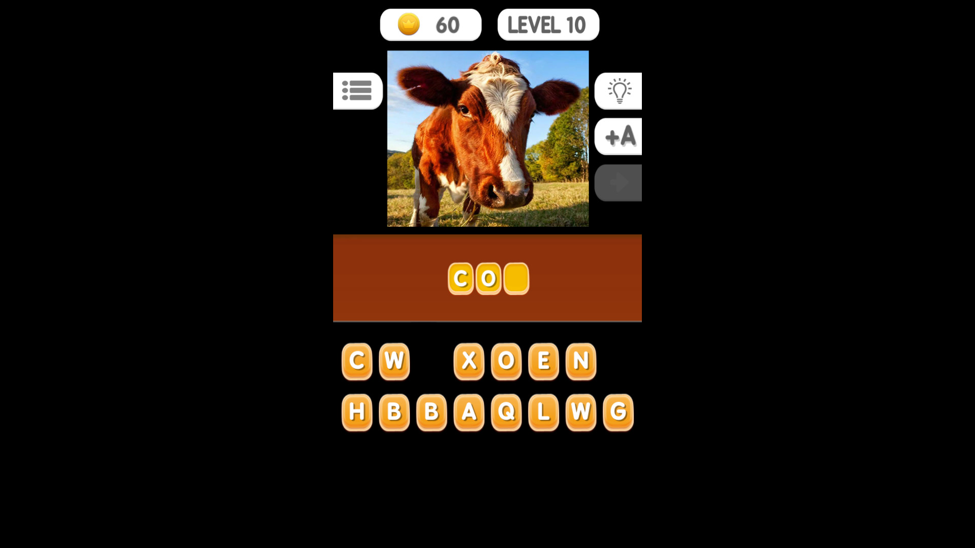 Photo Quiz - Animals #2