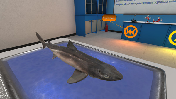 скриншот Dissection Simulator: Dogfish Edition 3