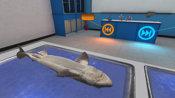 скриншот Dissection Simulator: Dogfish Edition 2
