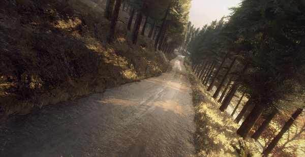 скриншот DiRT Rally 2.0 - Colin McRae: FLAT OUT Pack 2