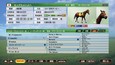 WP9 2020 名馬購入権フルセット 全１８頭 (DLC)