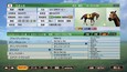 WP9 2020 歴史的名牝 購入権セット 全６頭 (DLC)