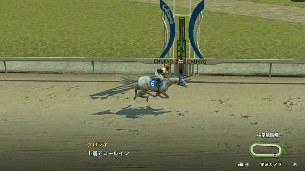 WP9 2020 究極の大器 購入権セット 全３頭