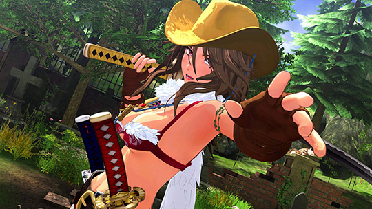 Onechanbara origin hot sale