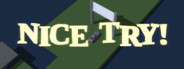 Nice Try!