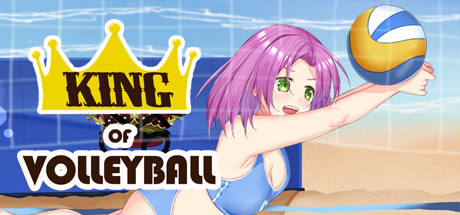 King of Volleyball title image