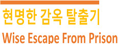 Wise Escape From Prison (현명한 감옥 탈출기) 게임 이미지
