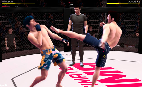 скриншот Ultimate MMA 0