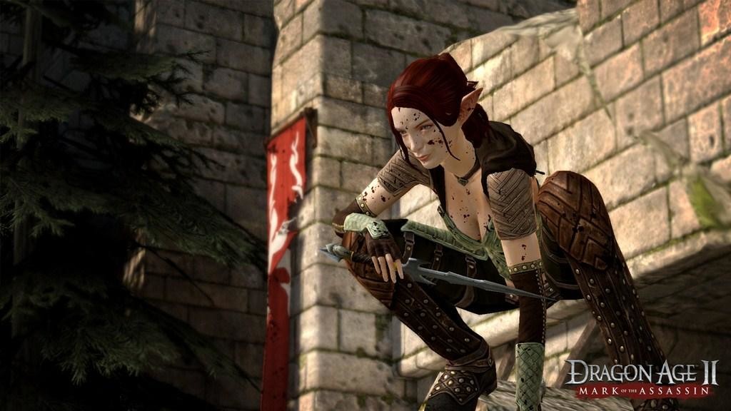 Dragon Age II DLC Bundle Featured Screenshot #1