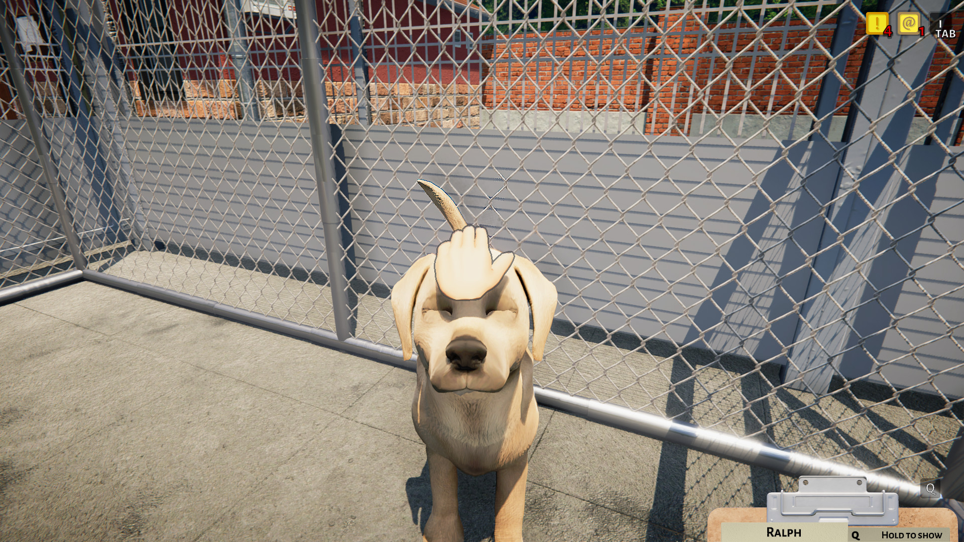 Animal Shelter on Steam