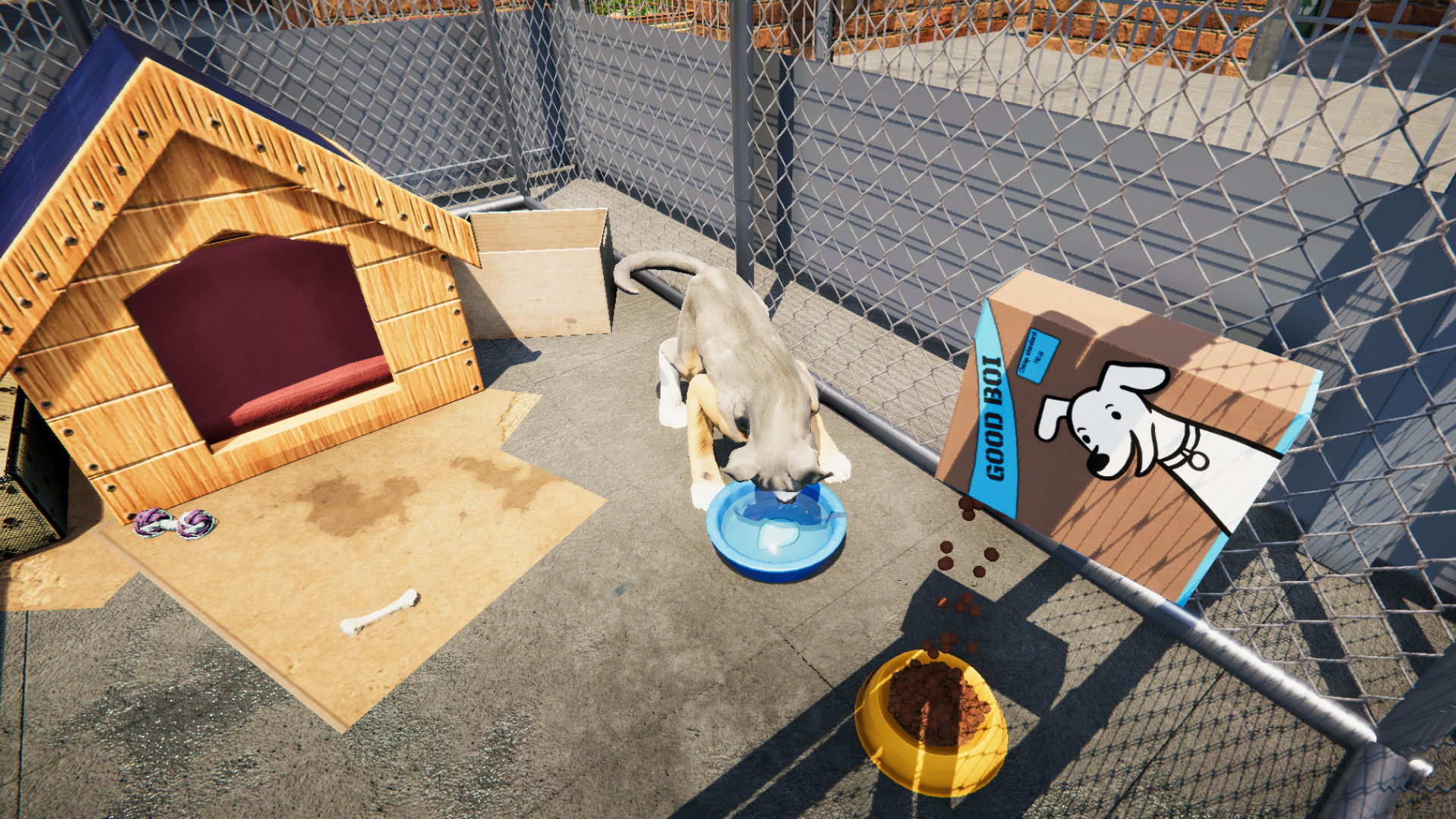 Animal Shelter on Steam