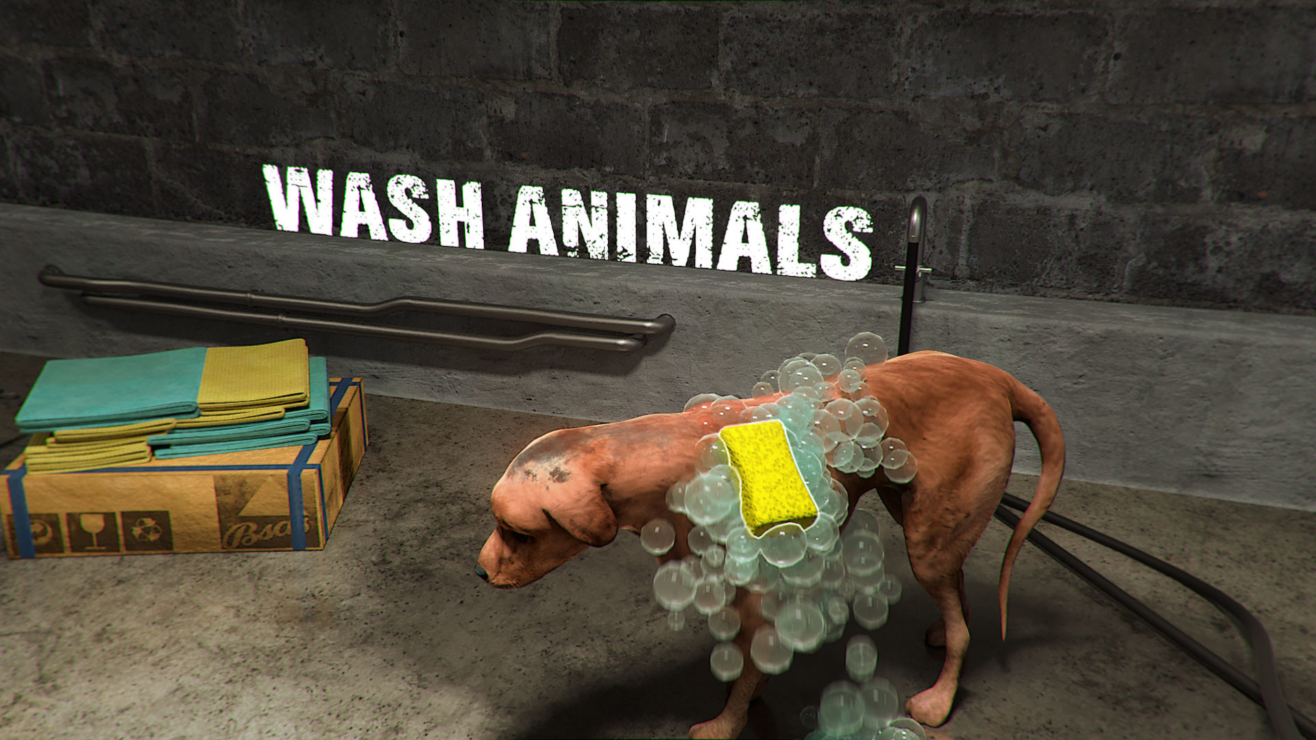 animal shelter game download