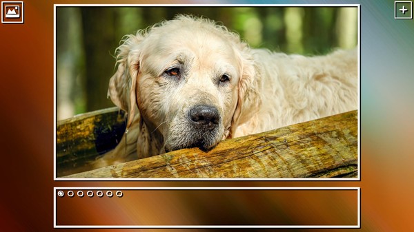 Super Jigsaw Puzzle: Generations - Dogs Puzzles