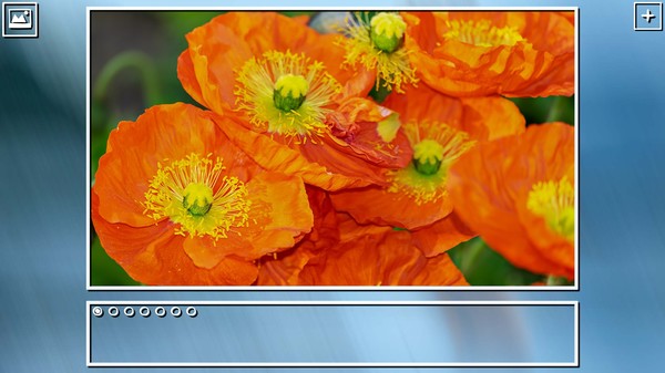 Super Jigsaw Puzzle: Generations - Flowers Puzzles
