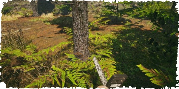 1.1.gif?t=1705430976