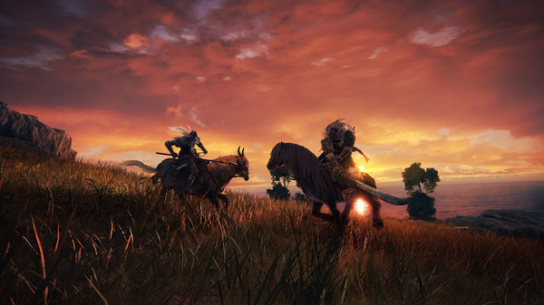 ELDEN RING CD Key 2