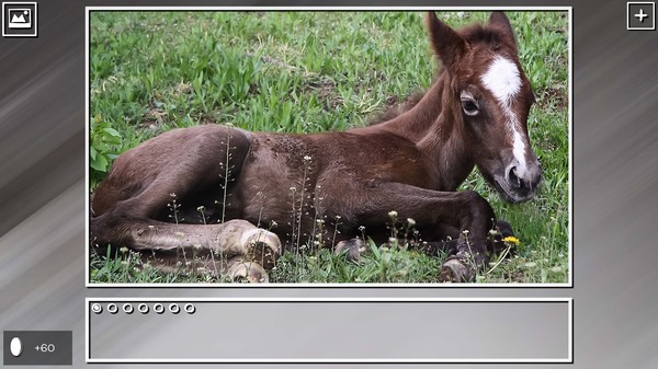 Super Jigsaw Puzzle: Generations - Horses Puzzles