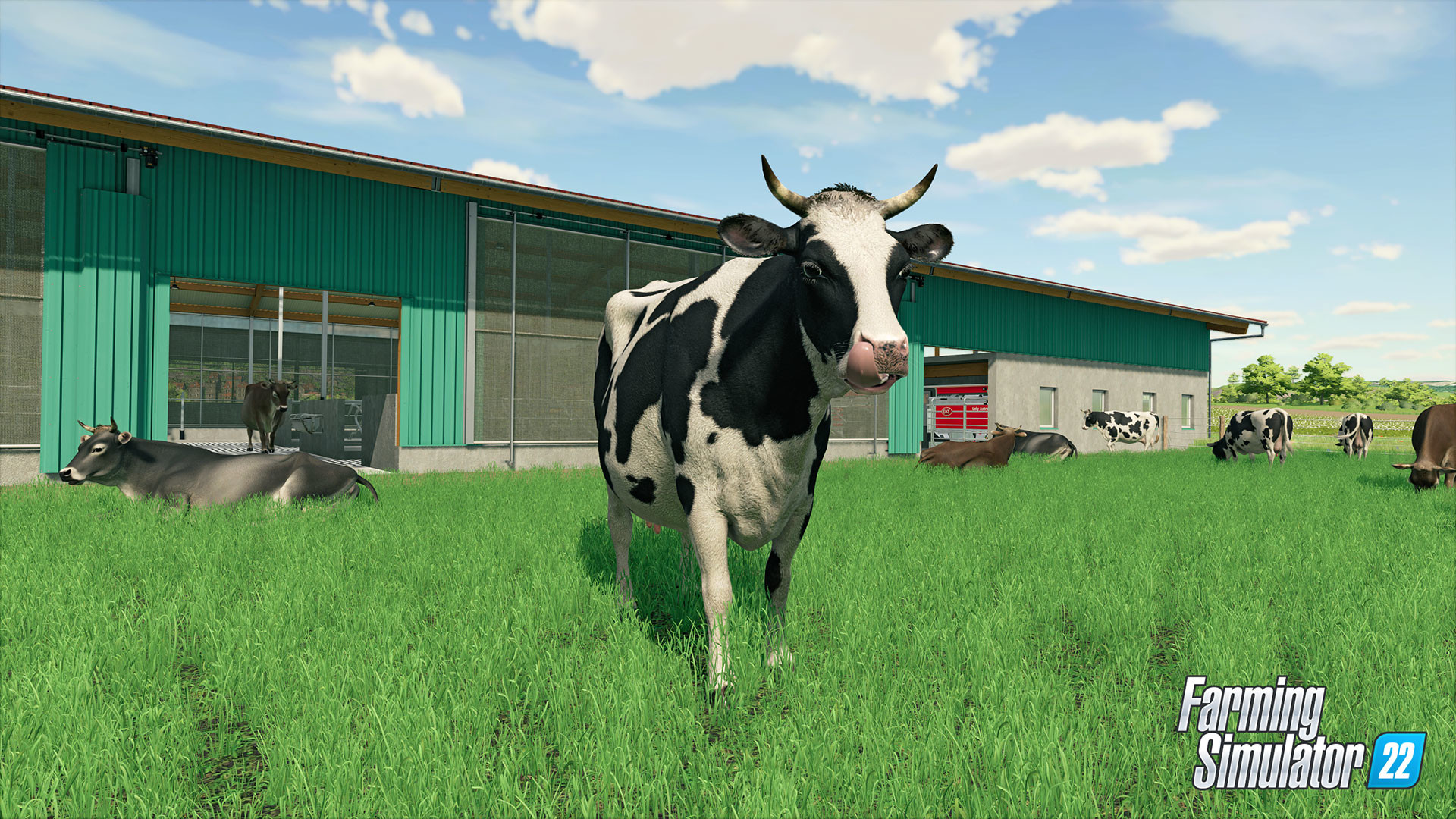 Farming simulator 22 - Kráva