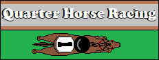 Quarter Horse Racing 게임 이미지
