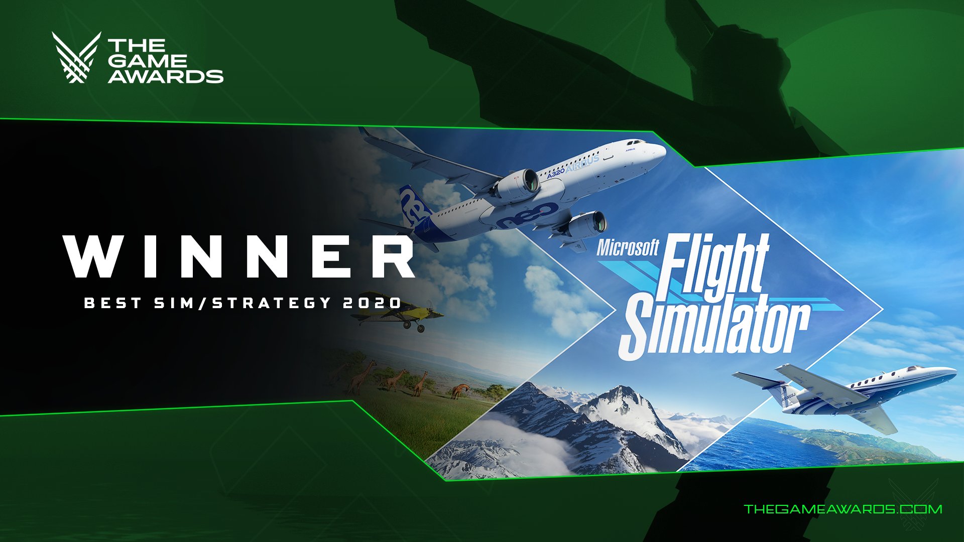 Microsoft Flight Simulator Standard Game of the Year Edition Steam  Altergift