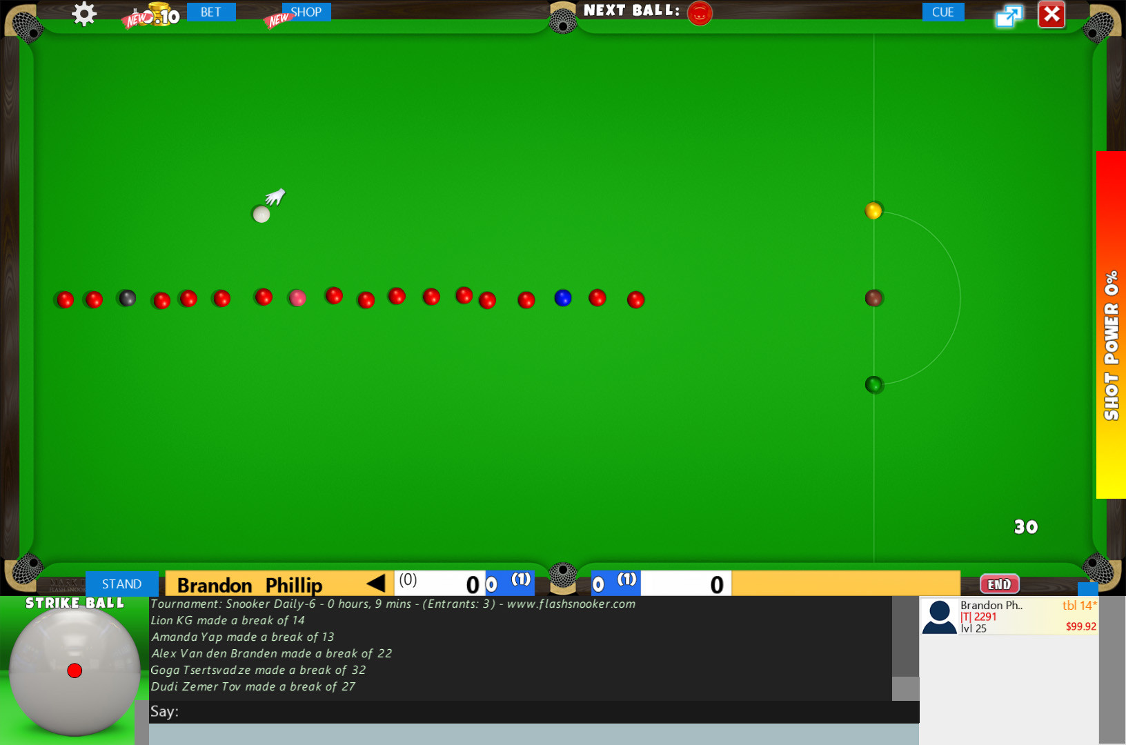 Flash Snooker & Billiards Game