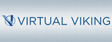 Virtual Viking 게임 이미지