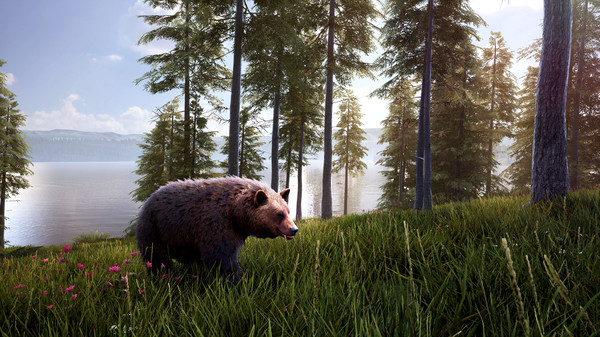 скриншот Hunting Simulator 2 Bear Hunter Pack 0