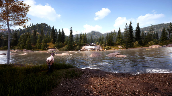 скриншот Hunting Simulator 2 Bear Hunter Pack 3
