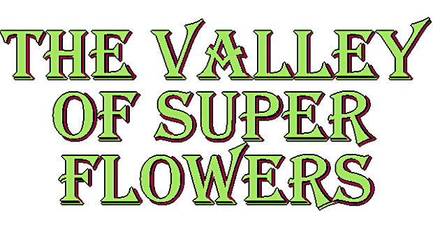 The Valley of Super Flowers