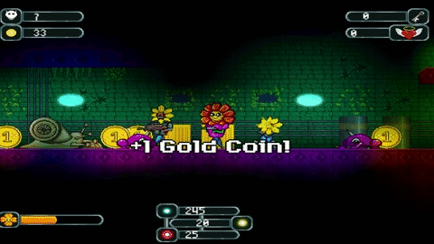 The Valley of Super Flowers