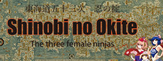 Shinobi no Okite/The three female ninjas 게임 이미지