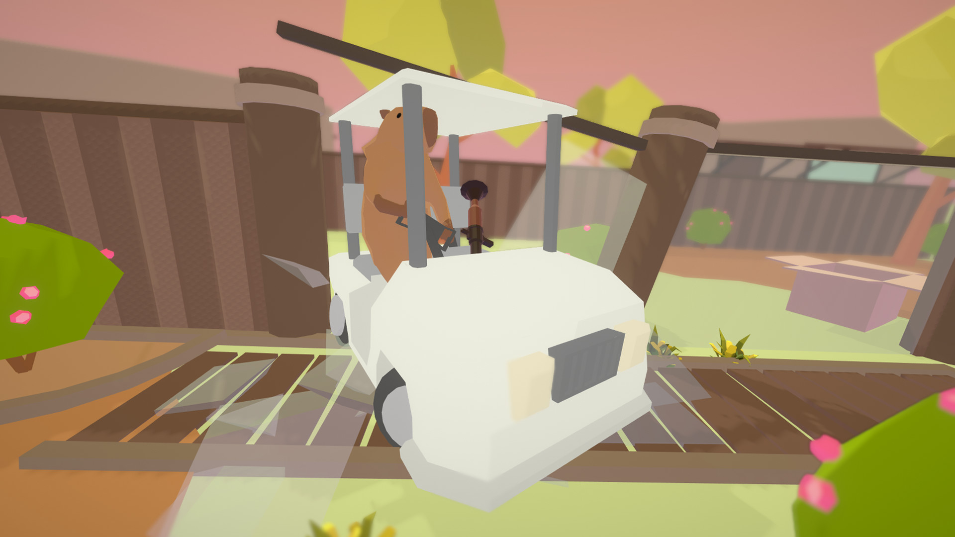 Capybara Carbonara #2