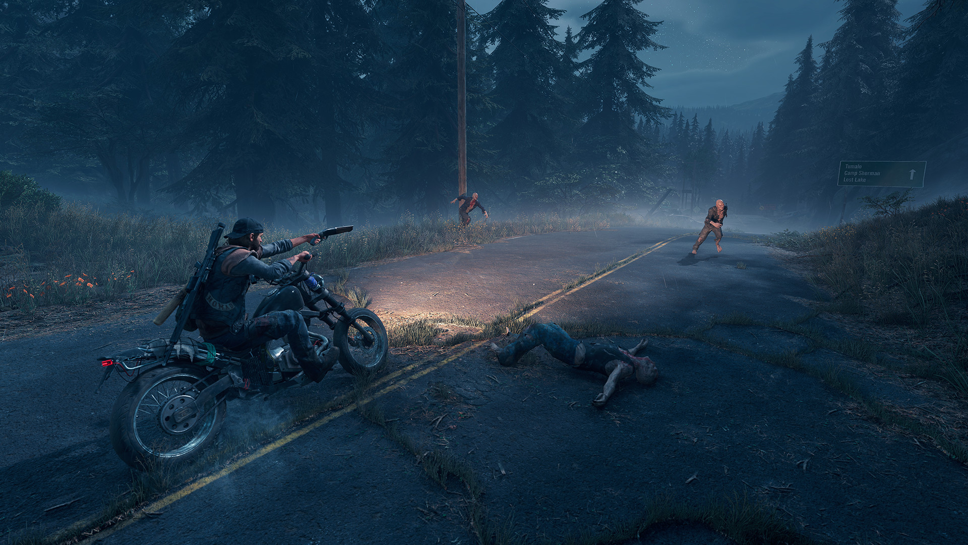 Is Days Gone a multiplayer or co-op game?