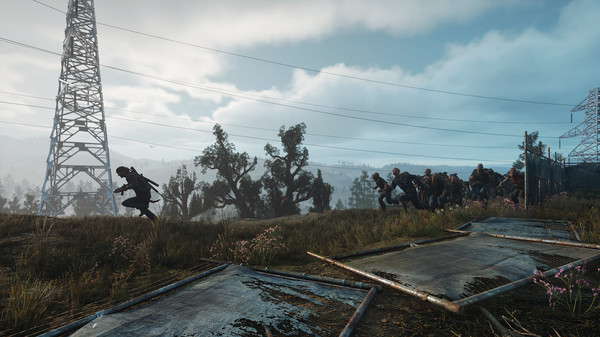 Скриншот из Days Gone