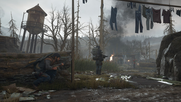 Скриншот из Days Gone